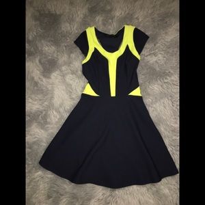 Skater Dress